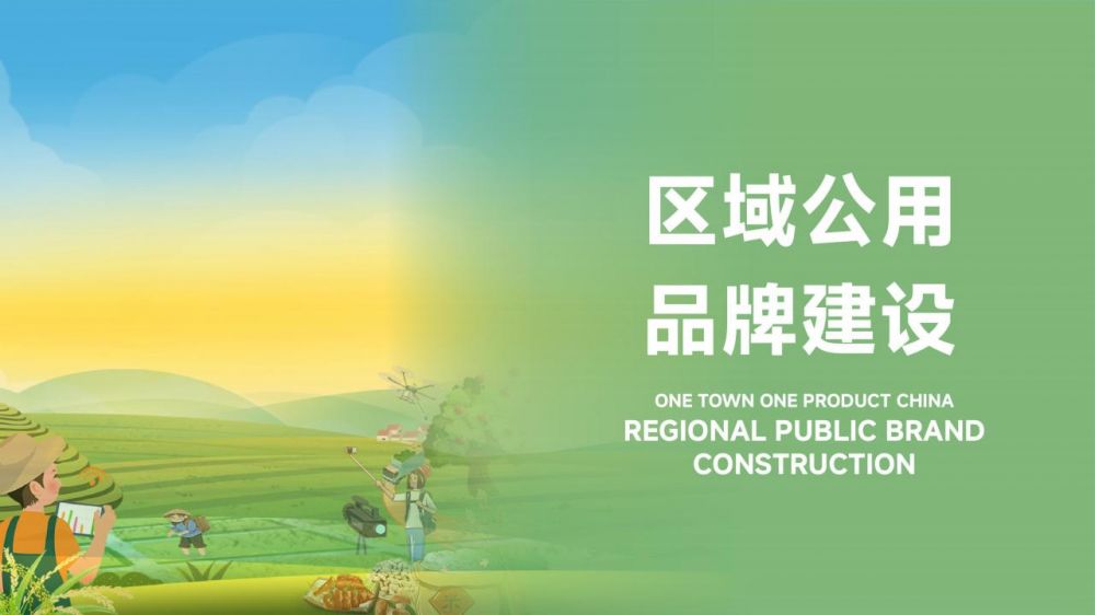 設(shè)計(jì)商學(xué)院簡(jiǎn)介2024_34.jpg